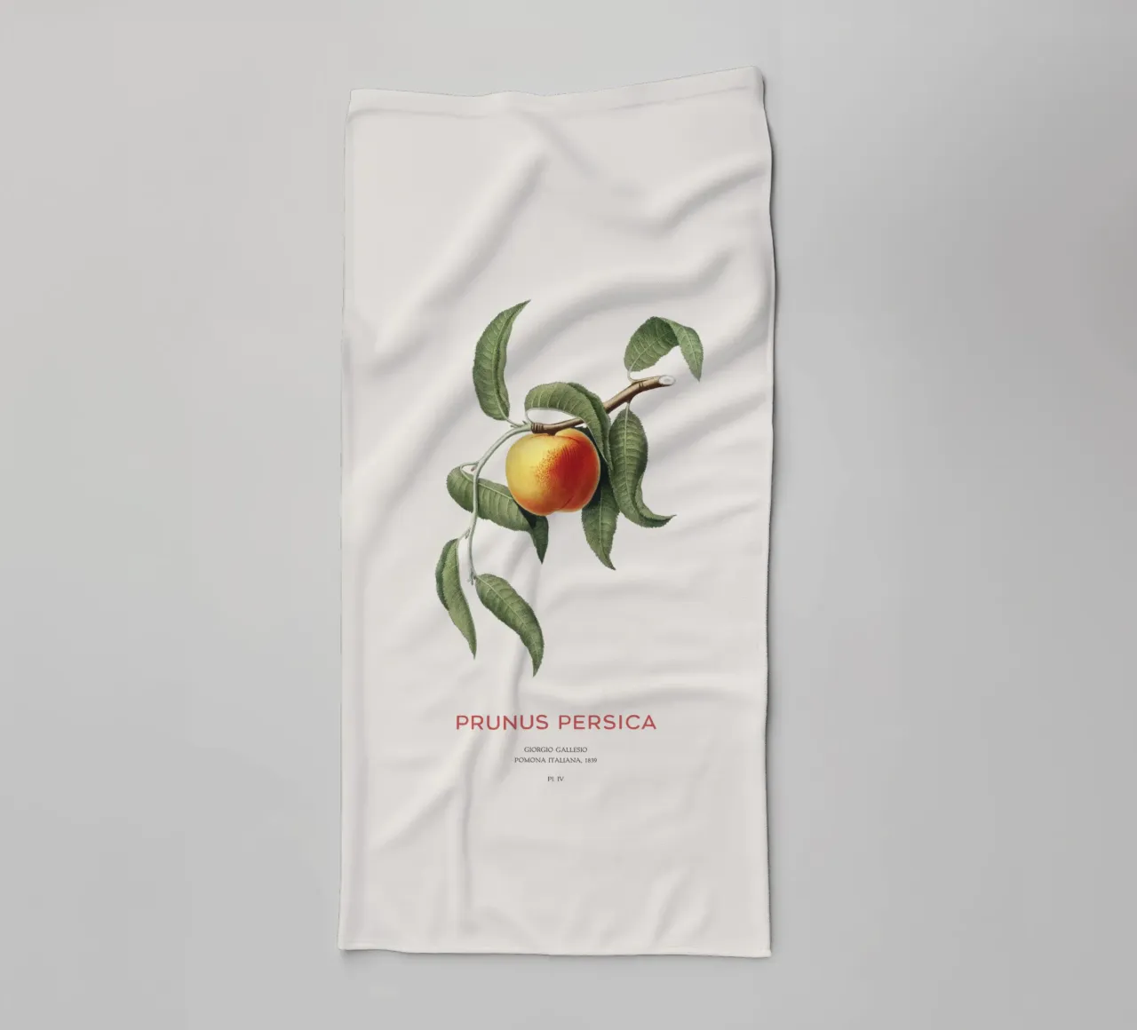 Pfirsich oder Prunus Persica Handtuch von Vintagrafica