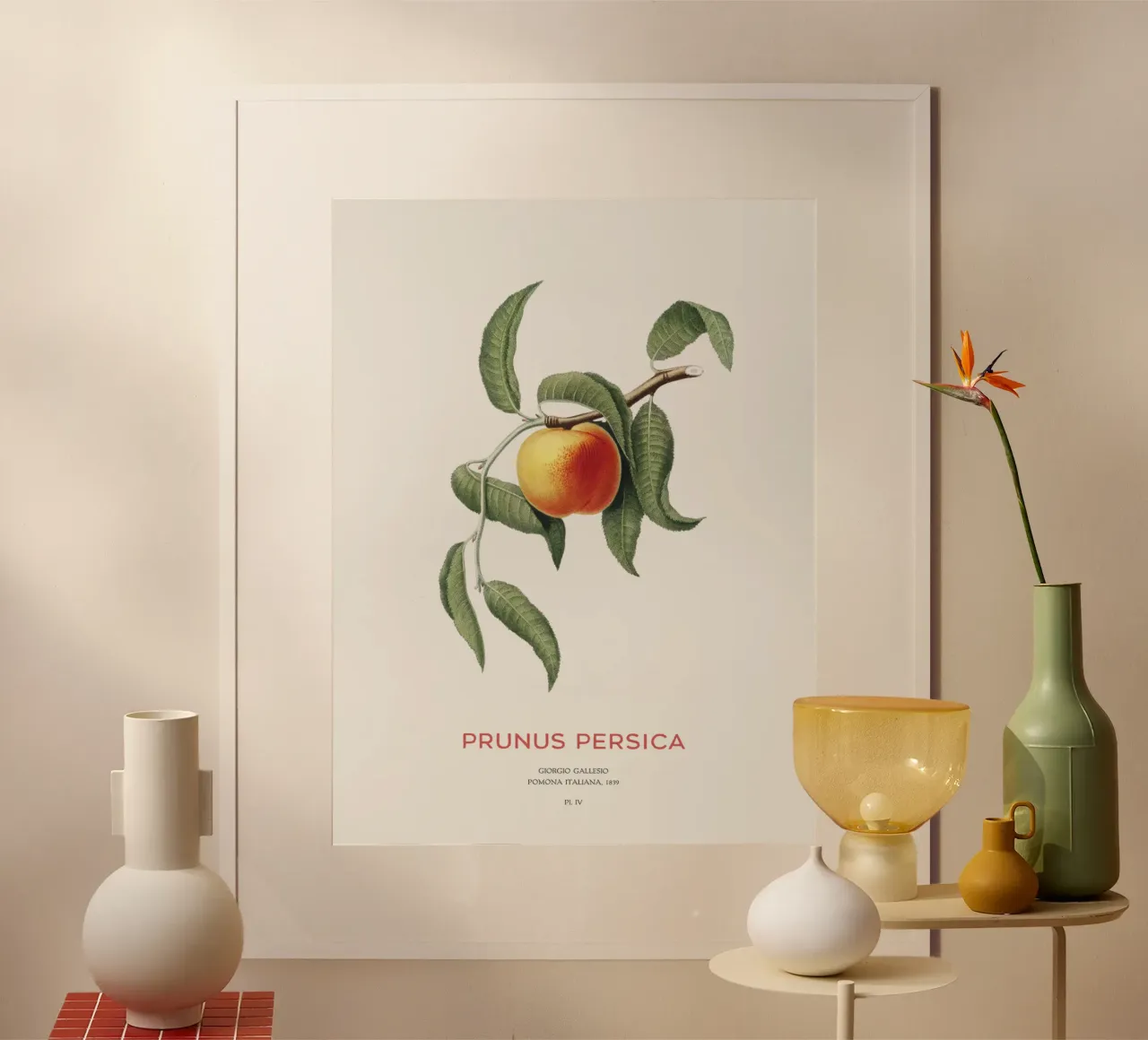 Pfirsich oder Prunus Persica Hahnemühle von Vintagrafica