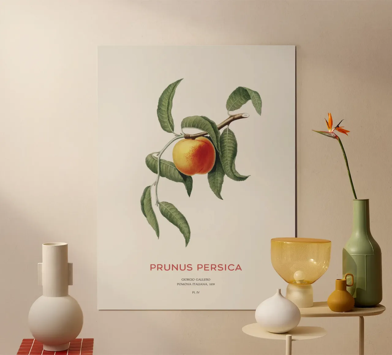 Pfirsich oder Prunus Persica Hahnemühle von Vintagrafica
