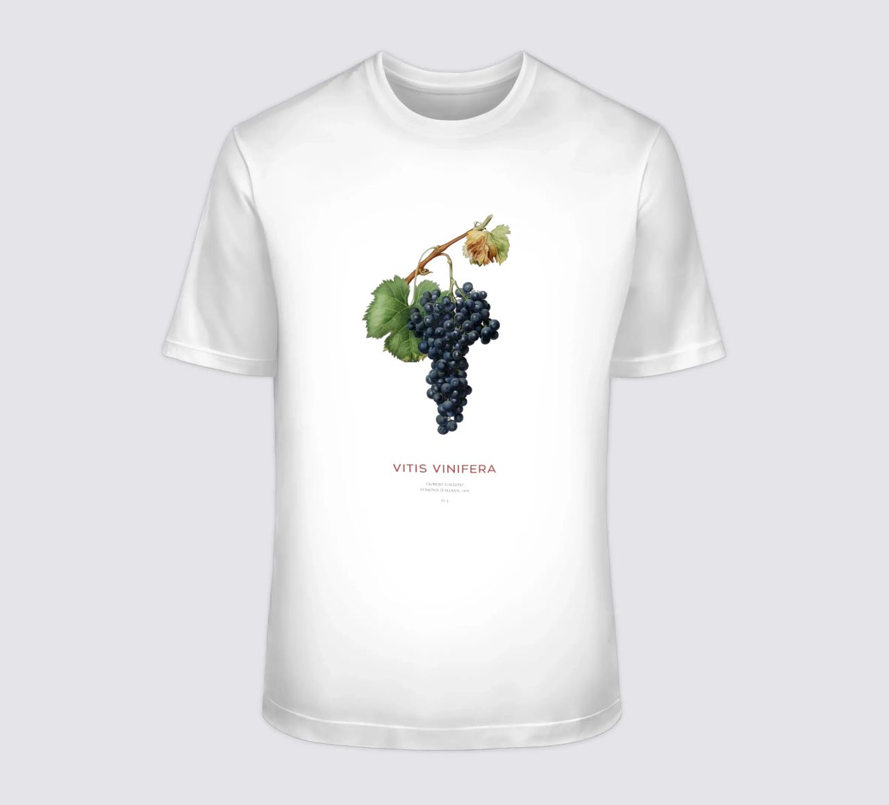 Vite d'uva o Vitis Vinifera t-shirt da Vintagrafica