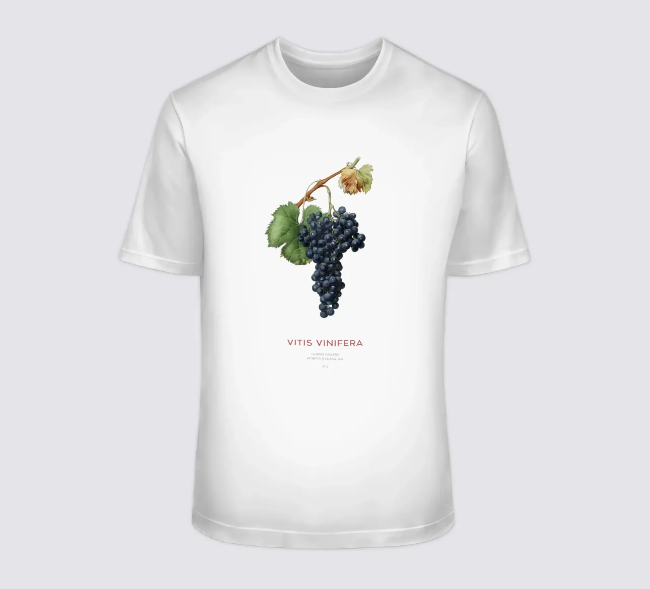 Vite d'uva o Vitis Vinifera t-shirt da Vintagrafica