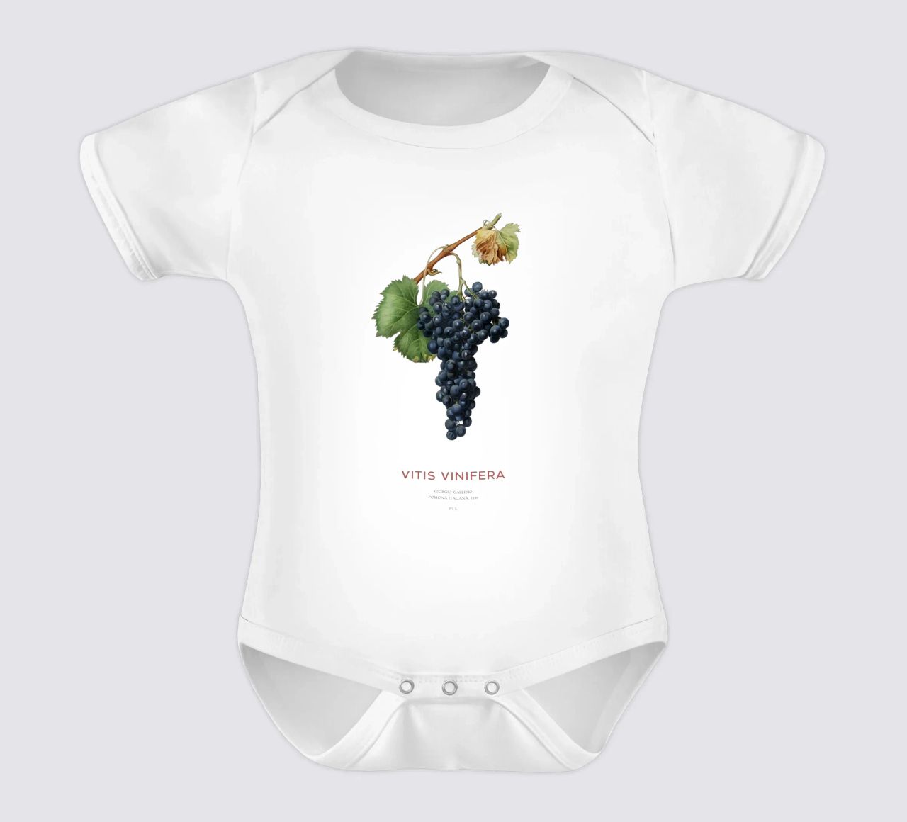 Vite d'uva o Vitis Vinifera body neonato maniche corte da Vintagrafica