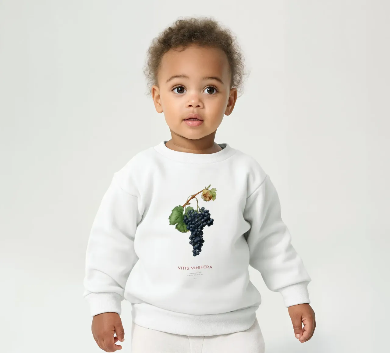 Vigne ou Vitis Vinifera sweat pour bébé de Vintagrafica
