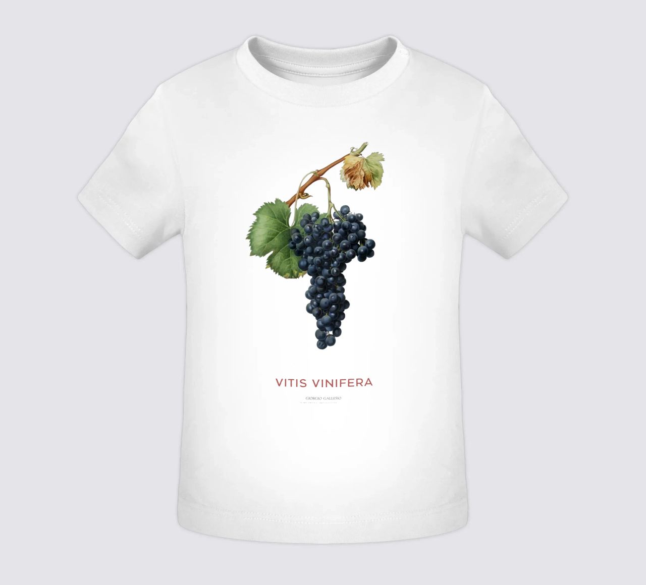 Vite d'uva o Vitis Vinifera maglietta neonato da Vintagrafica