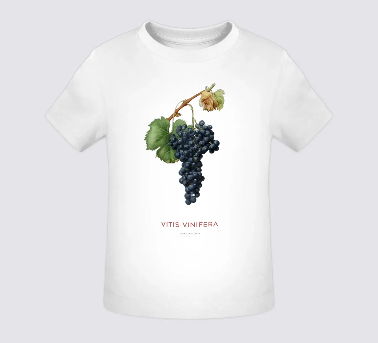 Grape vine or Vitis Vinifera baby t-shirt by Vintagrafica