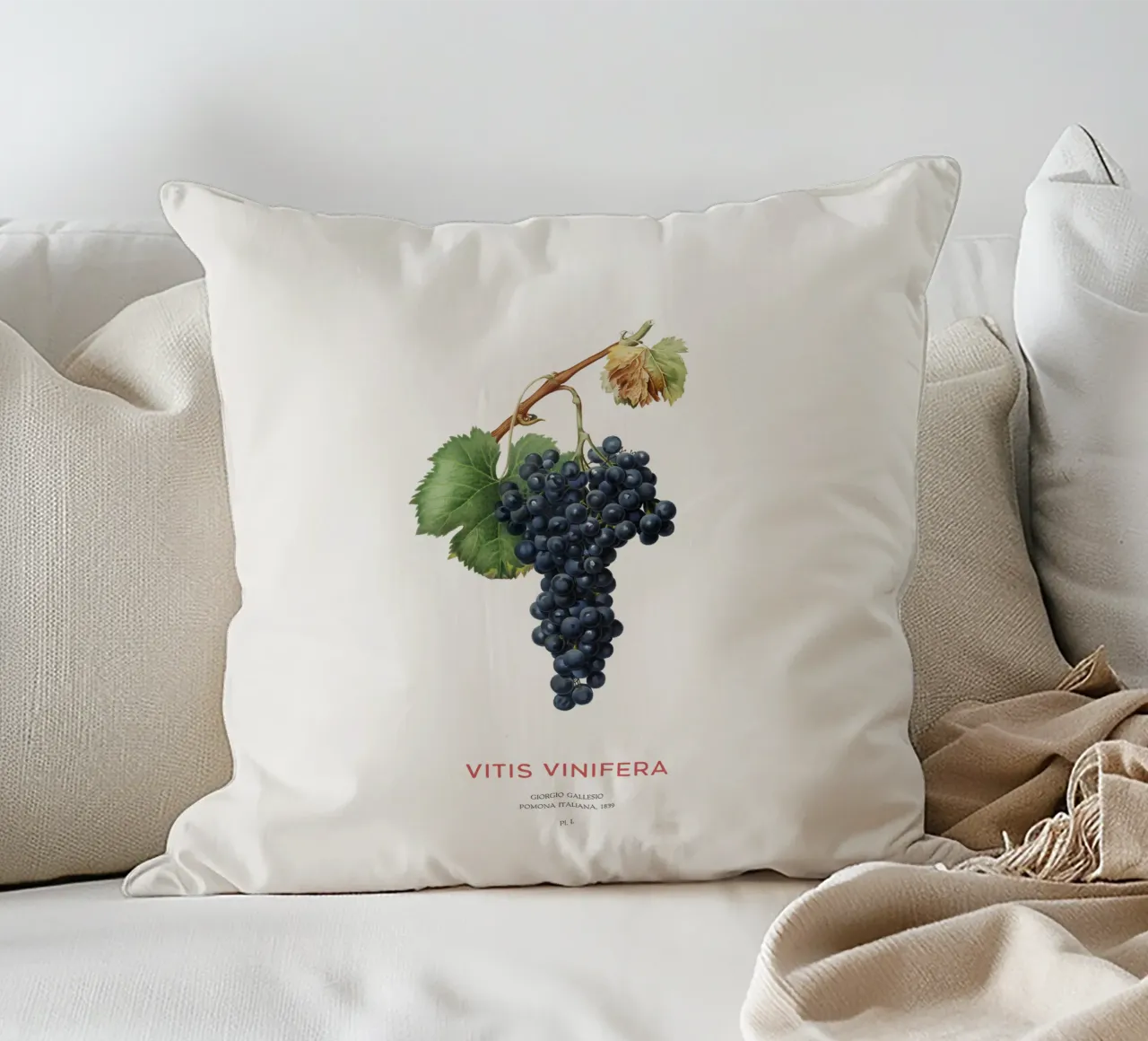 Vite d'uva o Vitis Vinifera cuscino da Vintagrafica