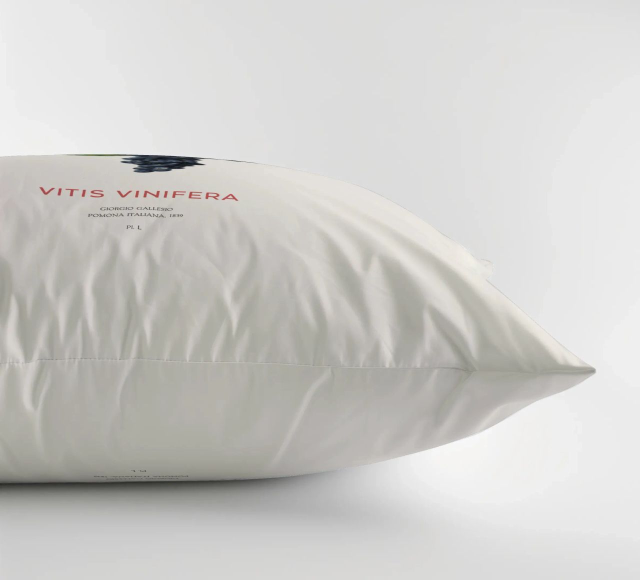 Vite d'uva o Vitis Vinifera cuscino da Vintagrafica