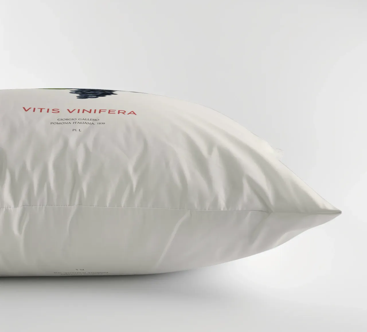 Vite d'uva o Vitis Vinifera cuscino da Vintagrafica