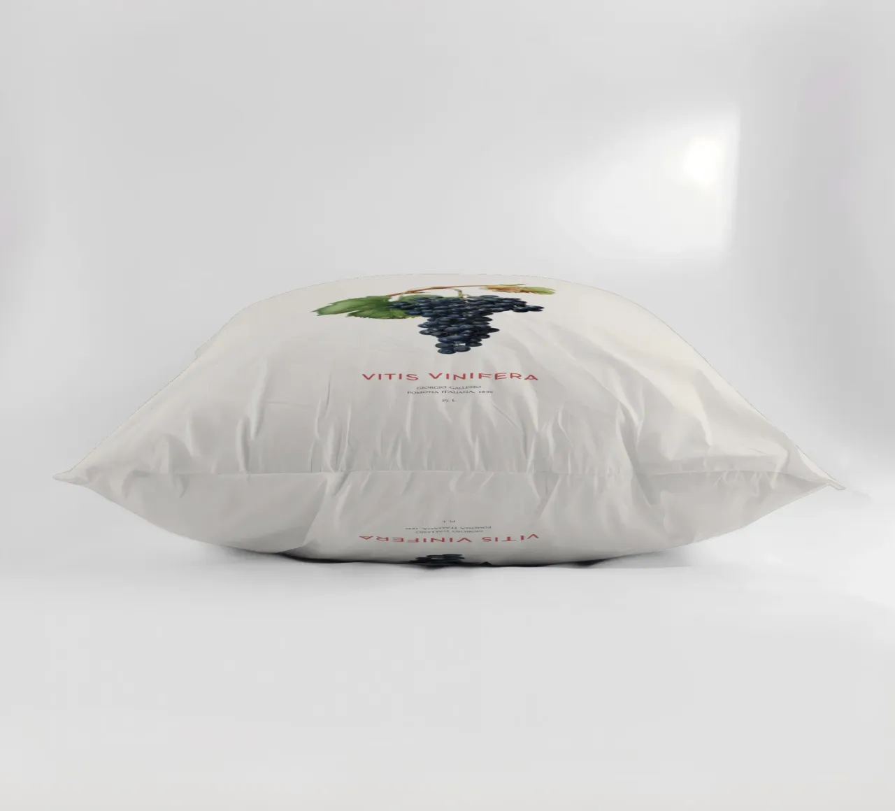 Vite d'uva o Vitis Vinifera cuscino da Vintagrafica