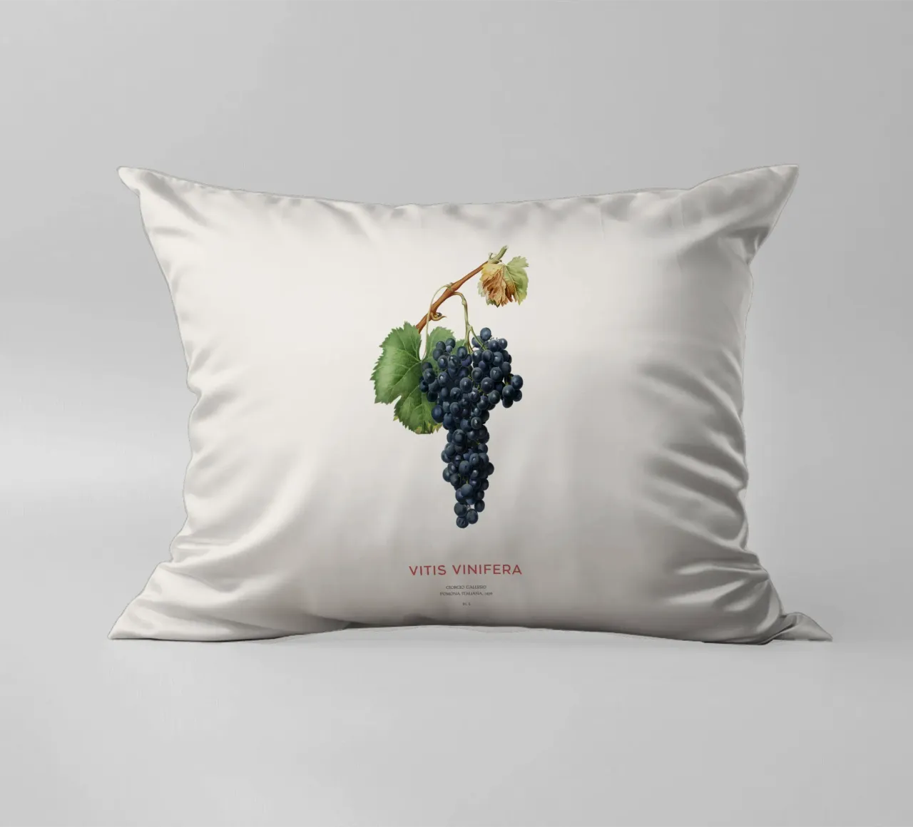 Vite d'uva o Vitis Vinifera cuscino da Vintagrafica