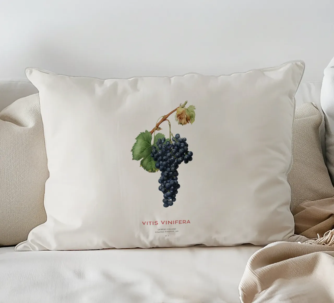 Vite d'uva o Vitis Vinifera cuscino da Vintagrafica