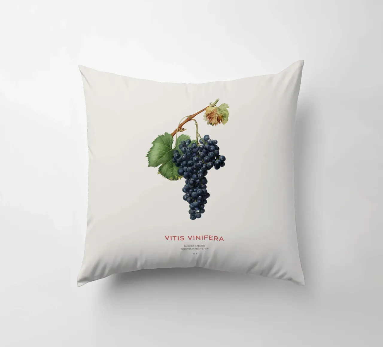 Vite d'uva o Vitis Vinifera cuscino da Vintagrafica