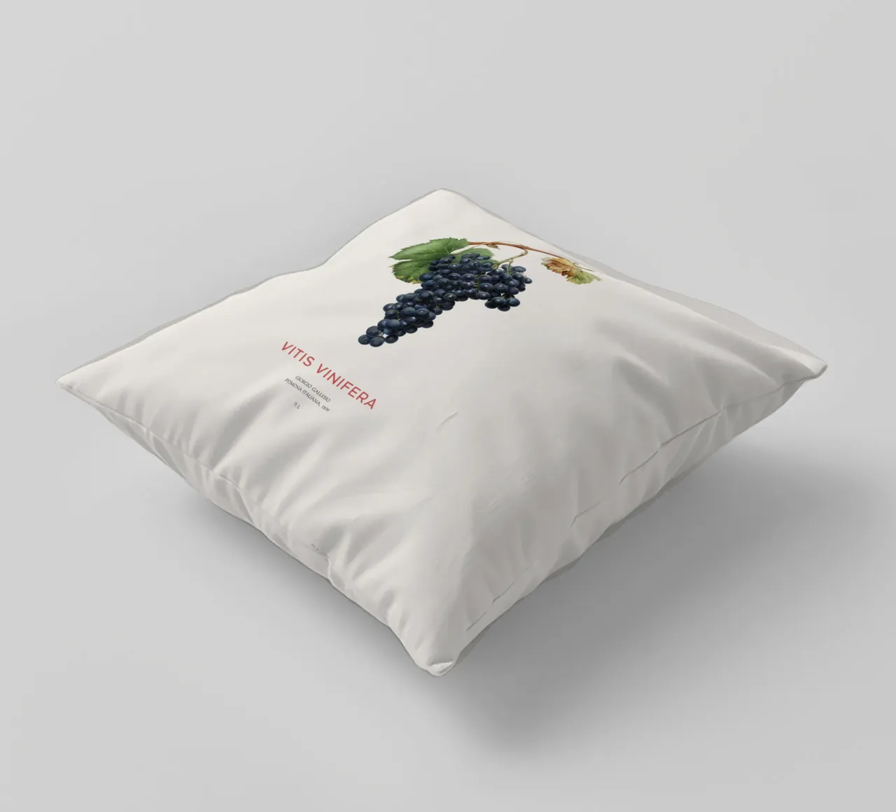 Vite d'uva o Vitis Vinifera cuscino da Vintagrafica