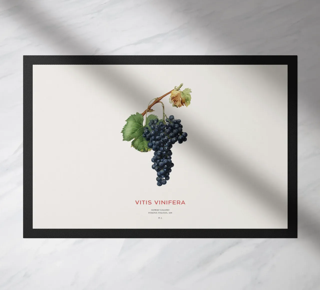 Grape vine or Vitis Vinifera doormat by Vintagrafica