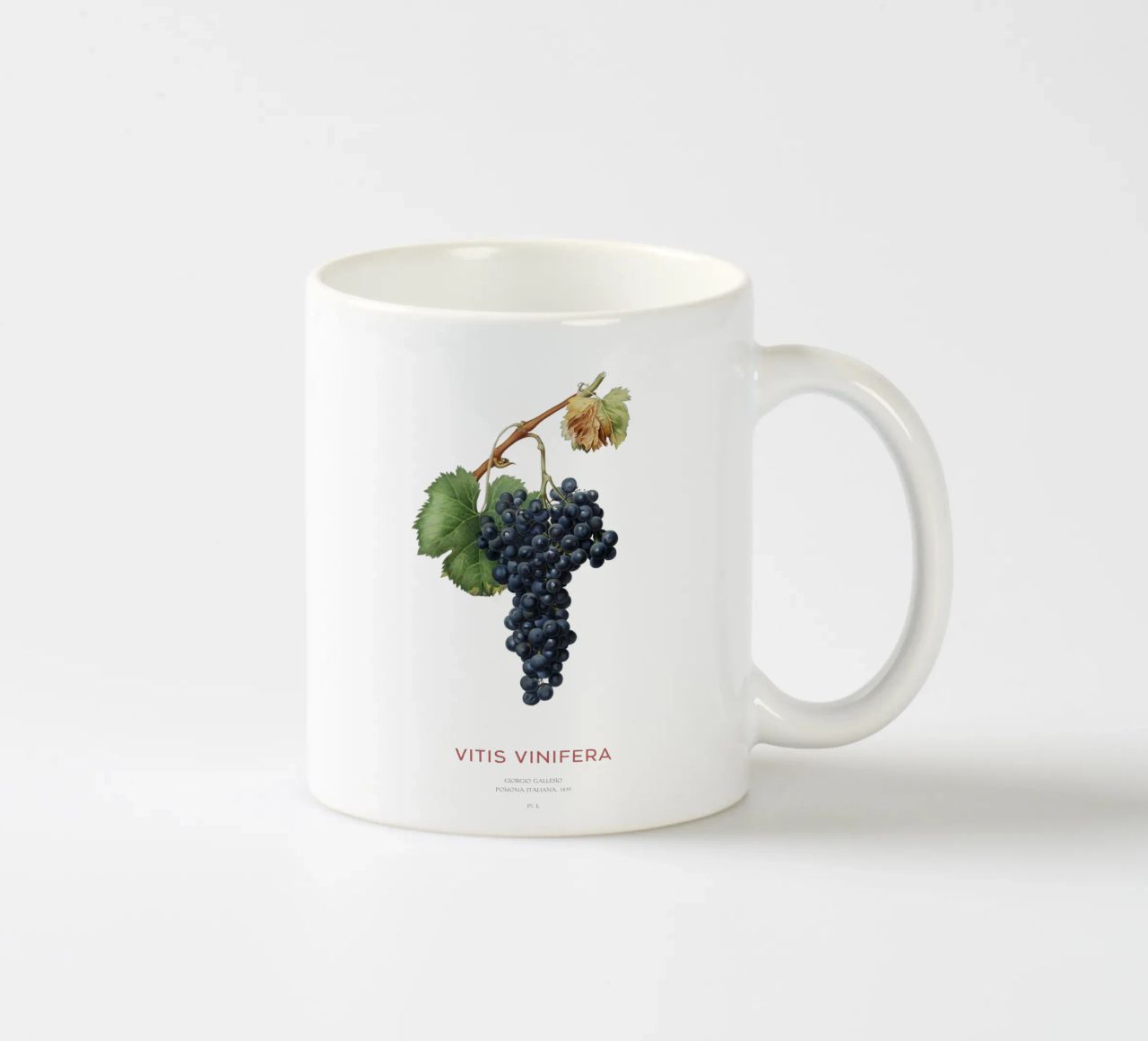 Vite d'uva o Vitis Vinifera tazza in ceramica da Vintagrafica