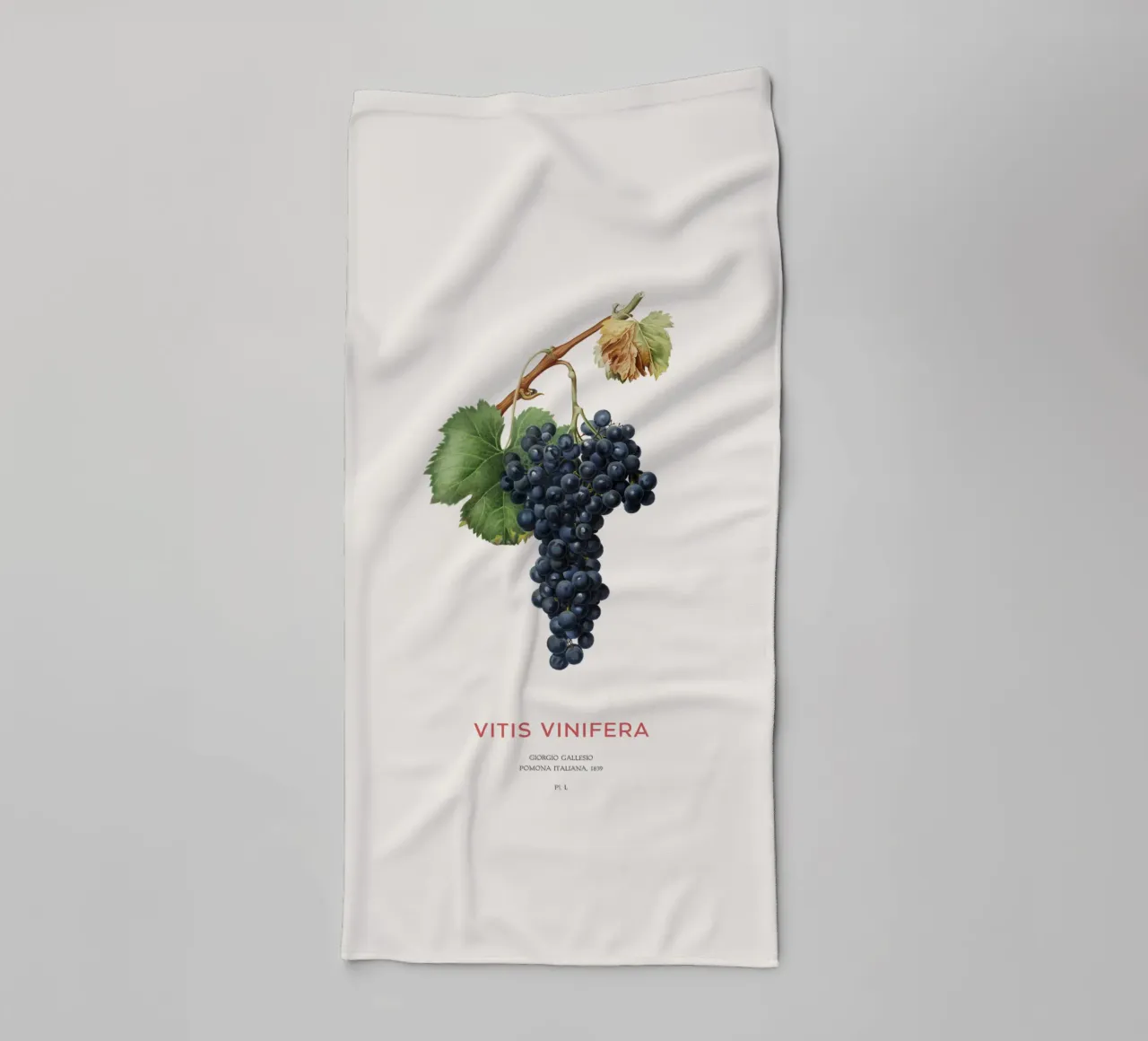 Wijnstok of Vitis Vinifera badhanddoek van Vintagrafica