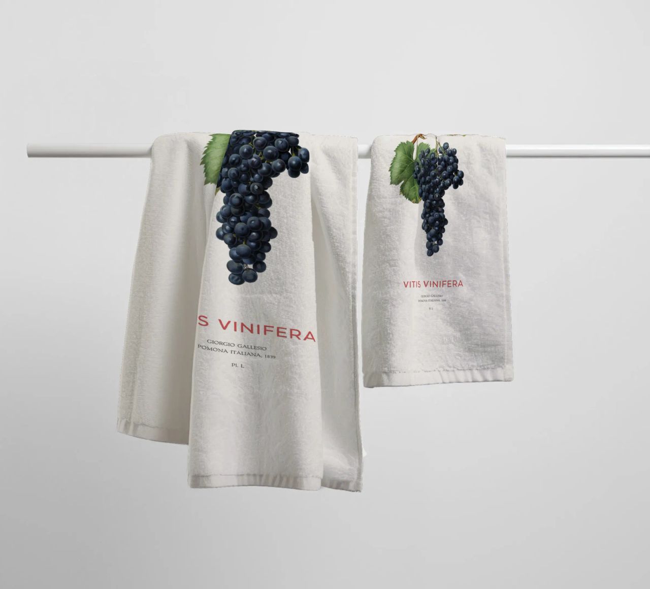 Vite d'uva o Vitis Vinifera asciugamano da bagno da Vintagrafica