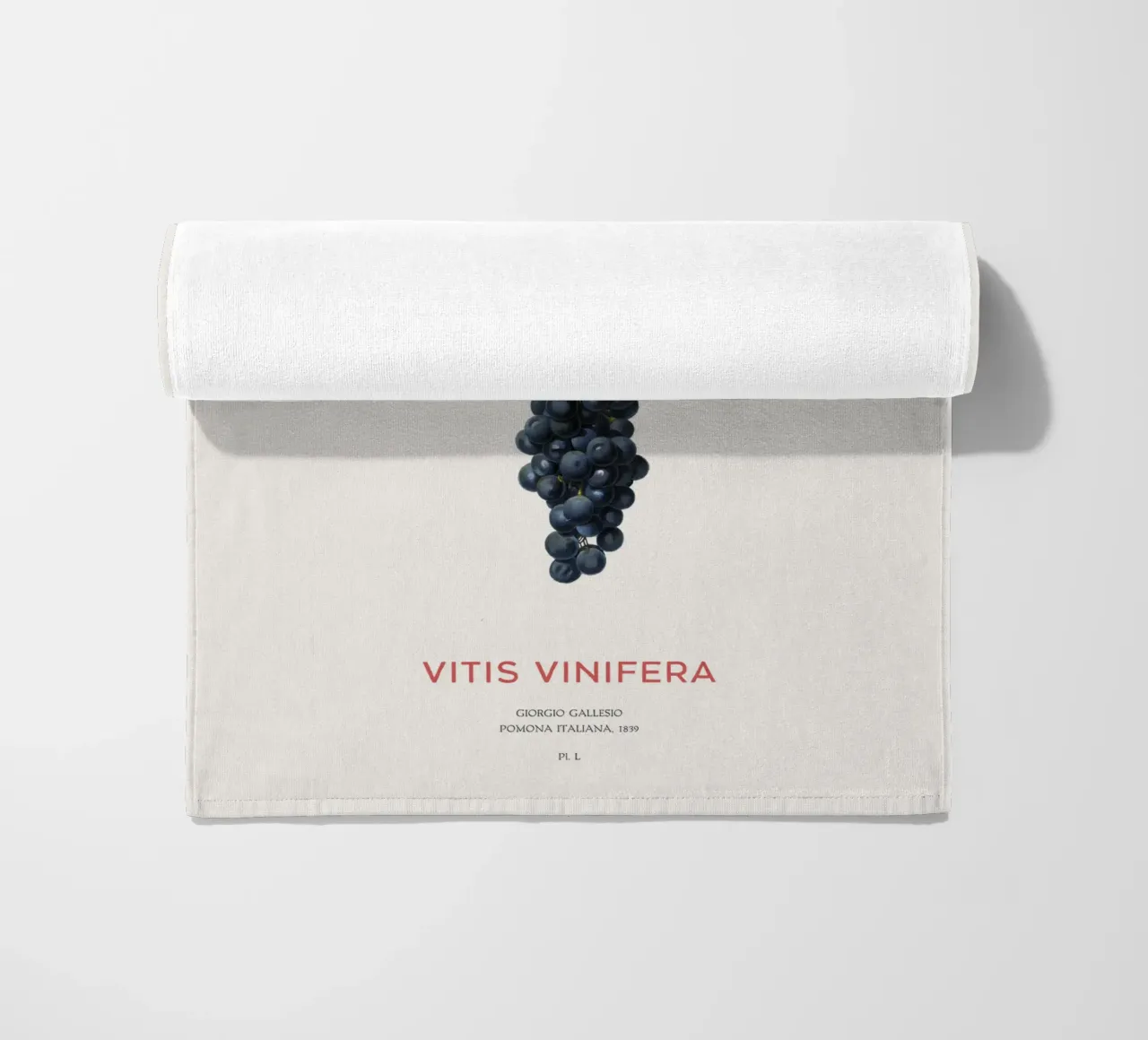 Weinrebe oder Vitis Vinifera Strandtuch von Vintagrafica