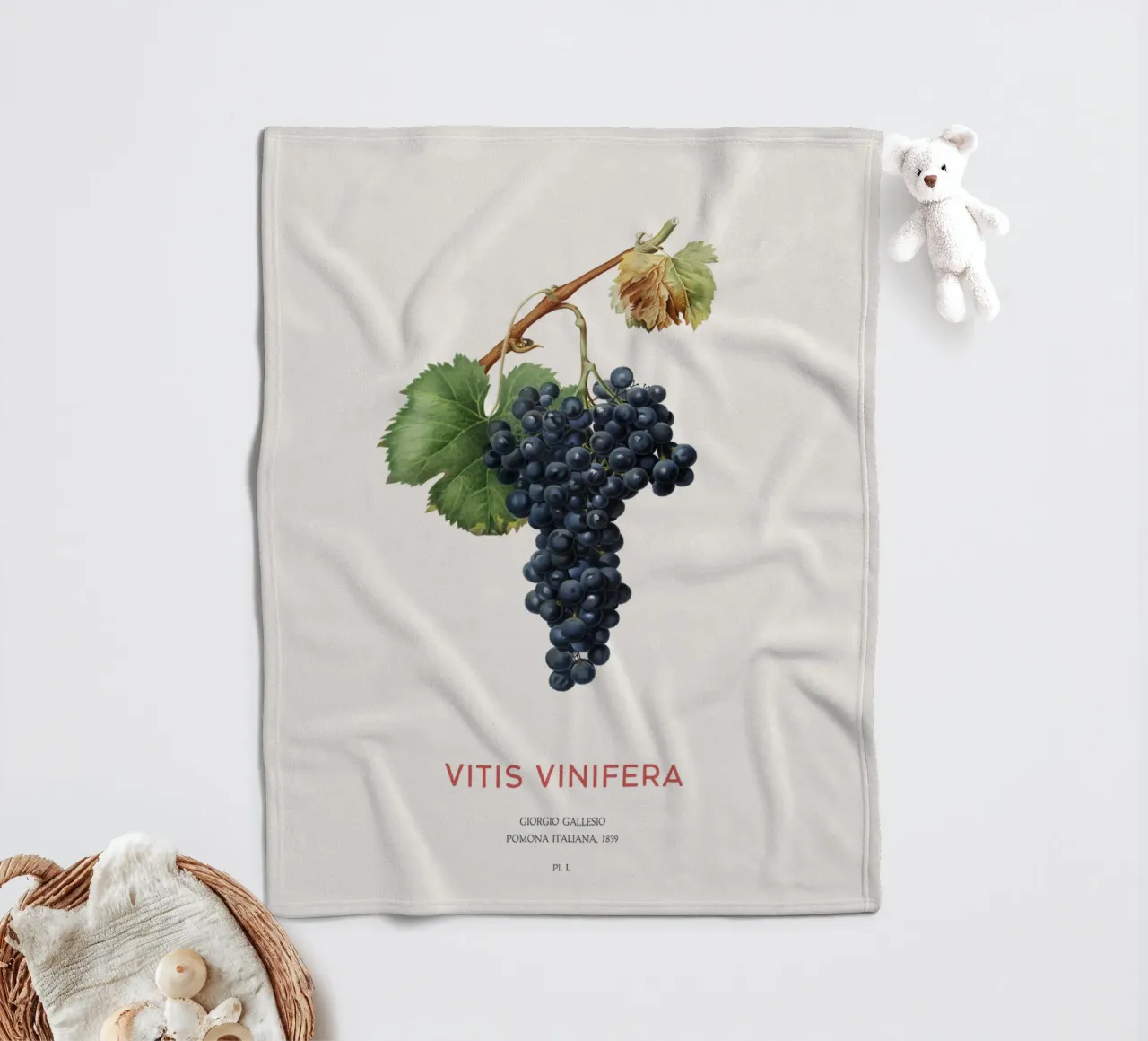 Vite d'uva o Vitis Vinifera coperta in pile da Vintagrafica