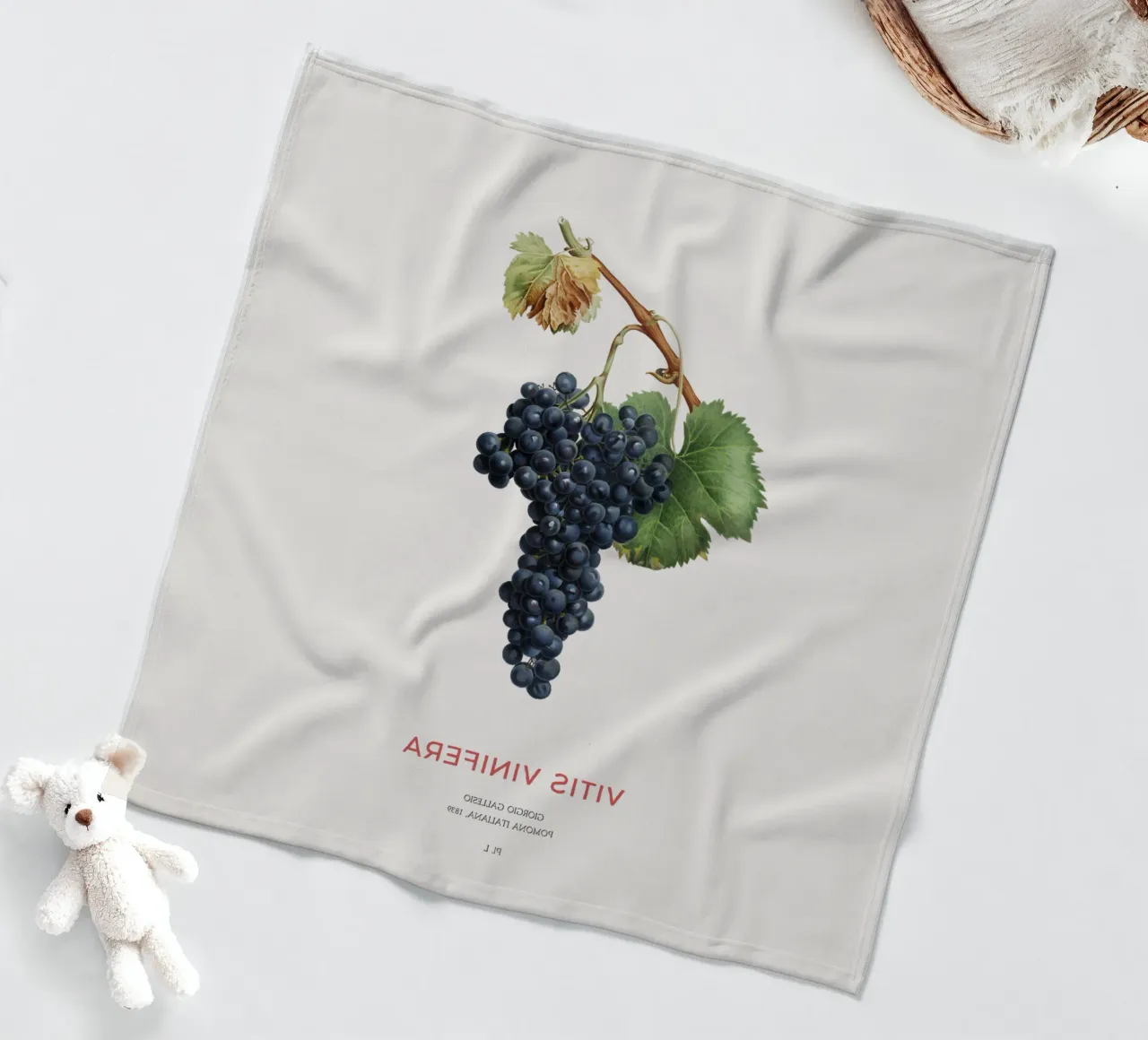 Vite d'uva o Vitis Vinifera coperta in pile da Vintagrafica