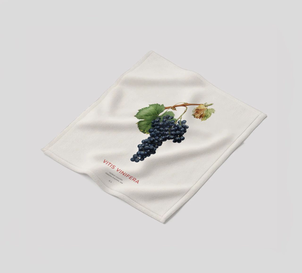 Vite d'uva o Vitis Vinifera coperta in pile da Vintagrafica