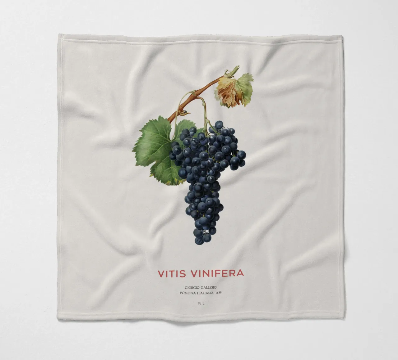 Grape vine or Vitis Vinifera fleece blanket by Vintagrafica
