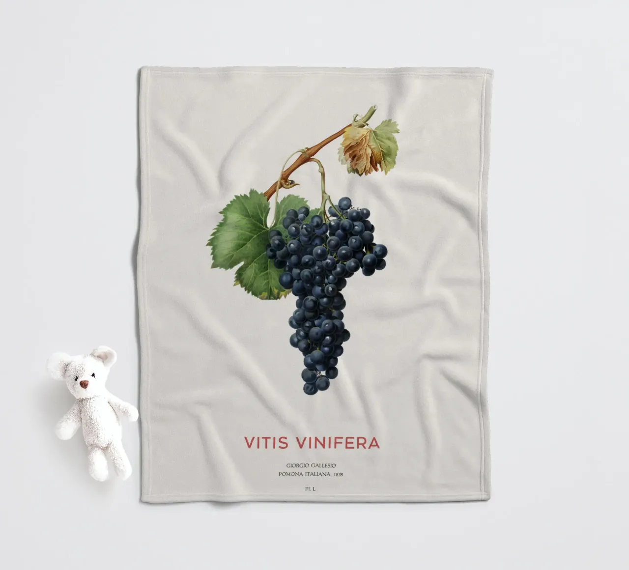 Grape vine or Vitis Vinifera fleece blanket by Vintagrafica