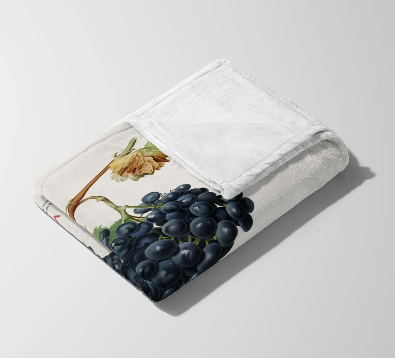 Vite d'uva o Vitis Vinifera coperta in pile da Vintagrafica