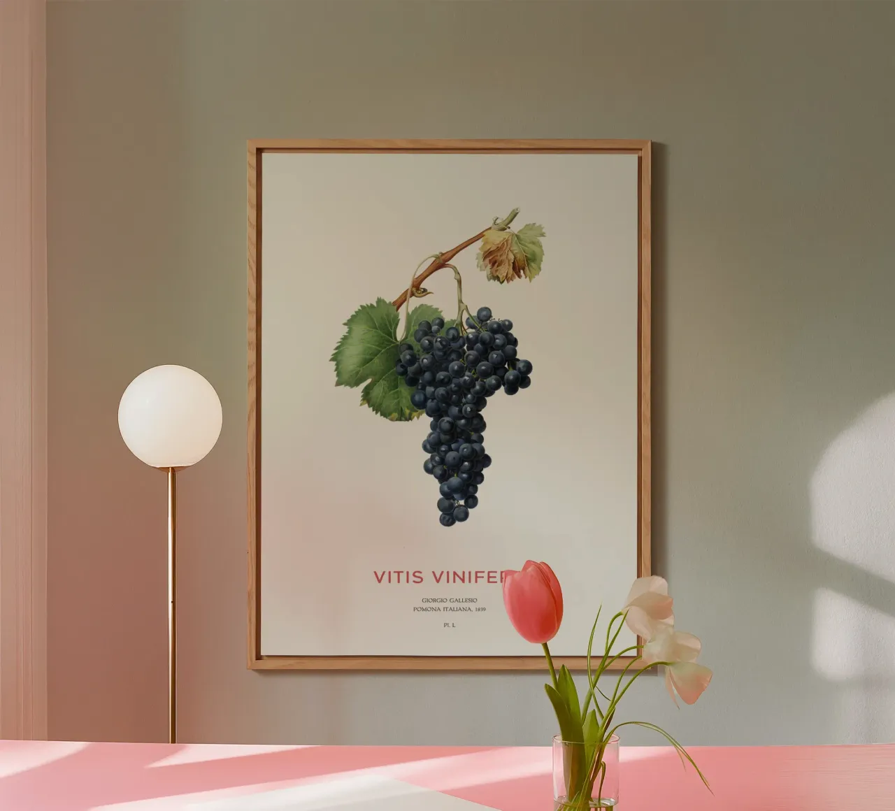 Vite d'uva o Vitis Vinifera alluminio dibond da Vintagrafica