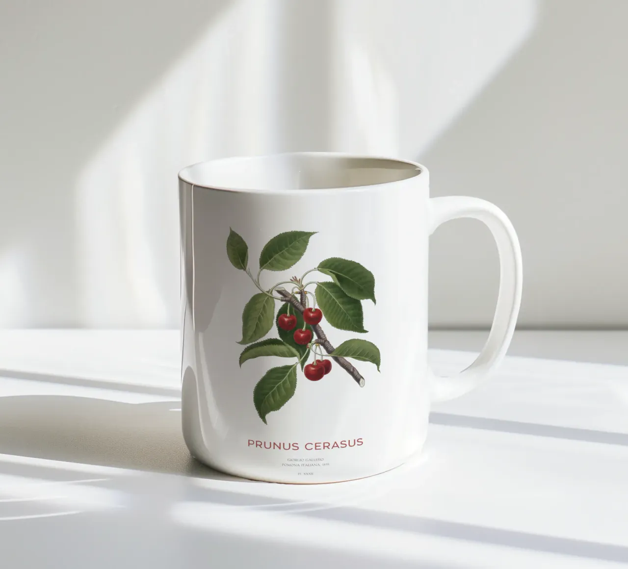 Ciliegia acida o Prunus Сerasus tazza in ceramica da Vintagrafica