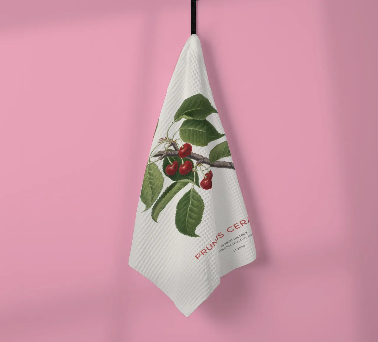 Sauerkirsche oder Prunus Сerasus Geschirrtuch von Vintagrafica