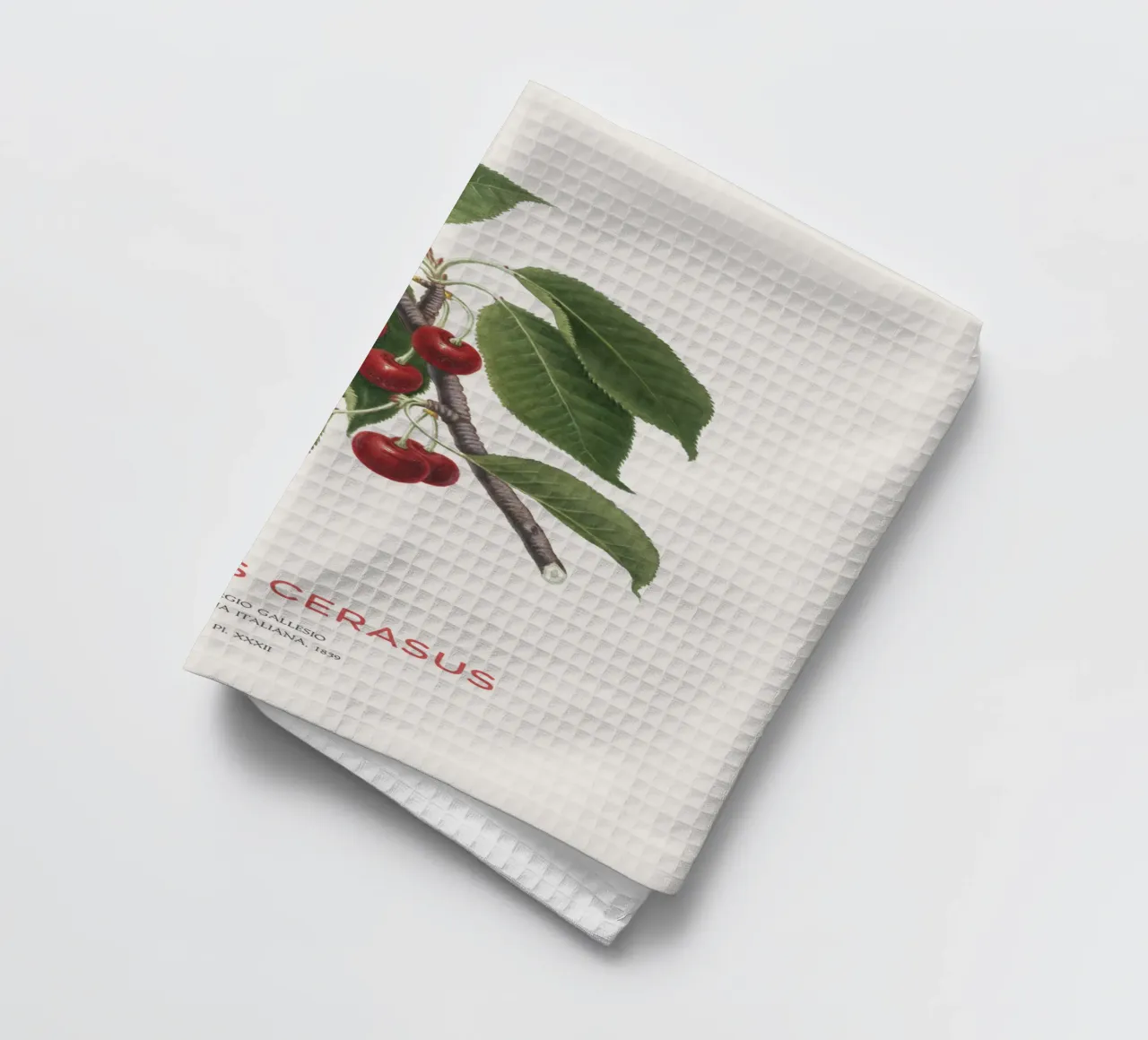 Sauerkirsche oder Prunus Сerasus Geschirrtuch von Vintagrafica