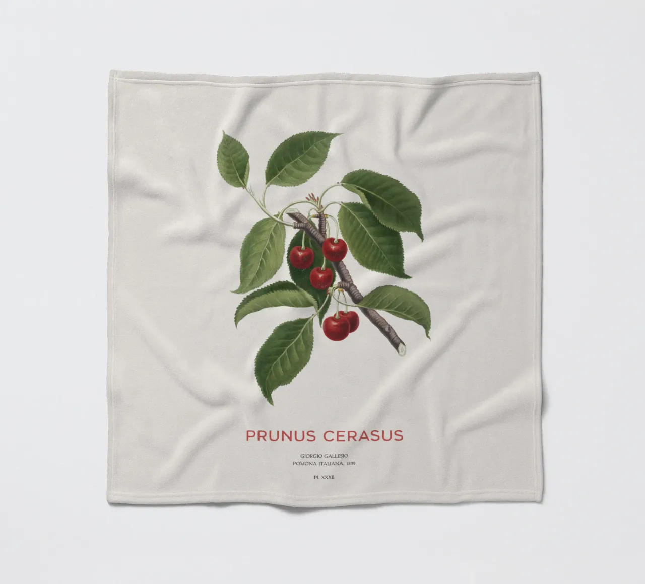 Sauerkirsche oder Prunus Сerasus Fleecedecke von Vintagrafica