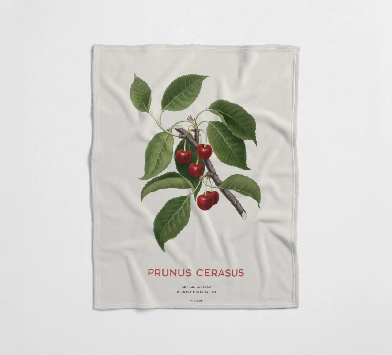 Sauerkirsche oder Prunus Сerasus Fleecedecke von Vintagrafica