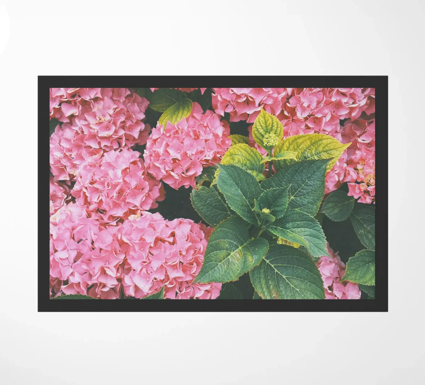 Hydrangea deurmat van Cassia Beck Photography