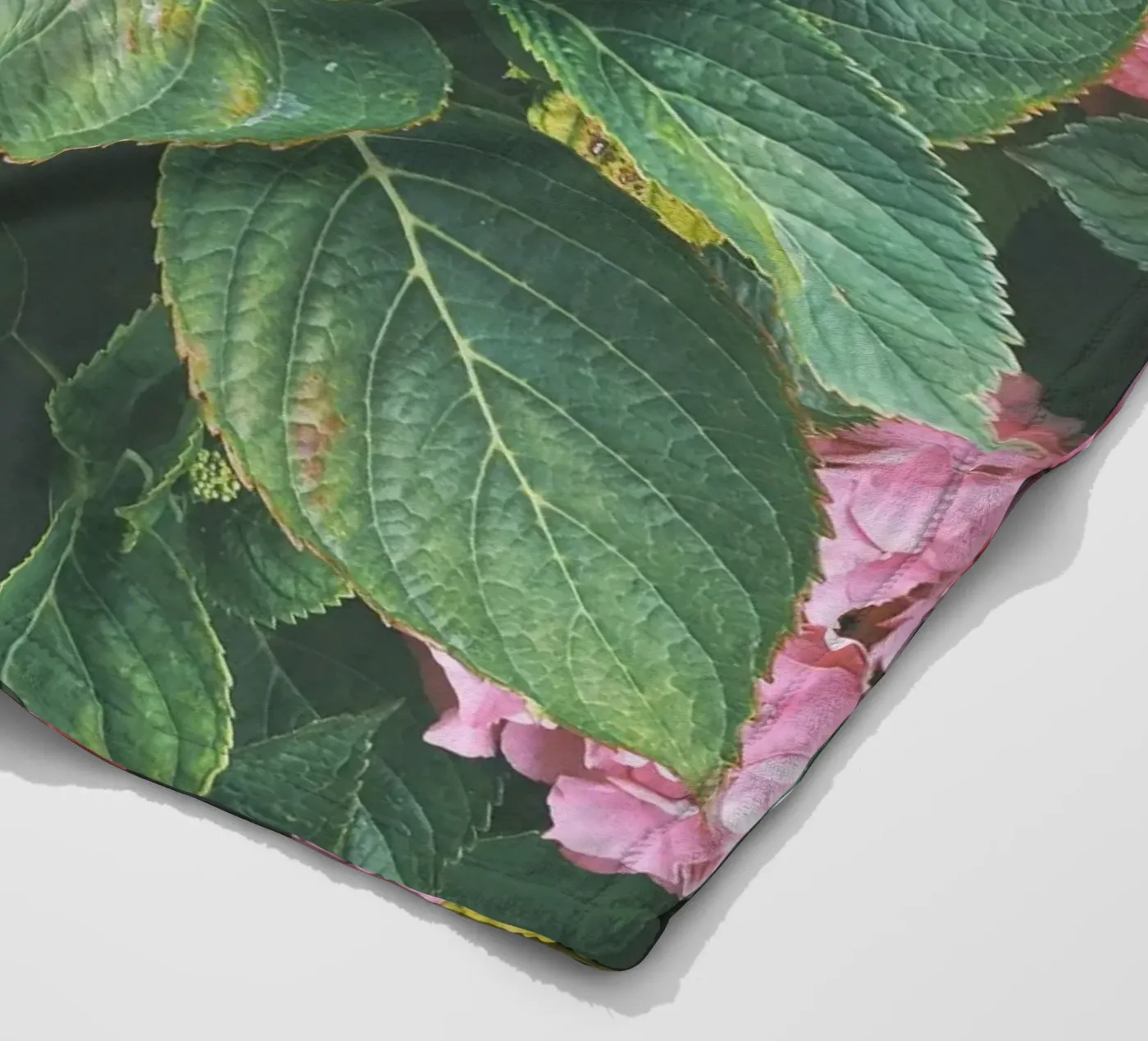 Hortensia plaid polaire de Cassia Beck Photography