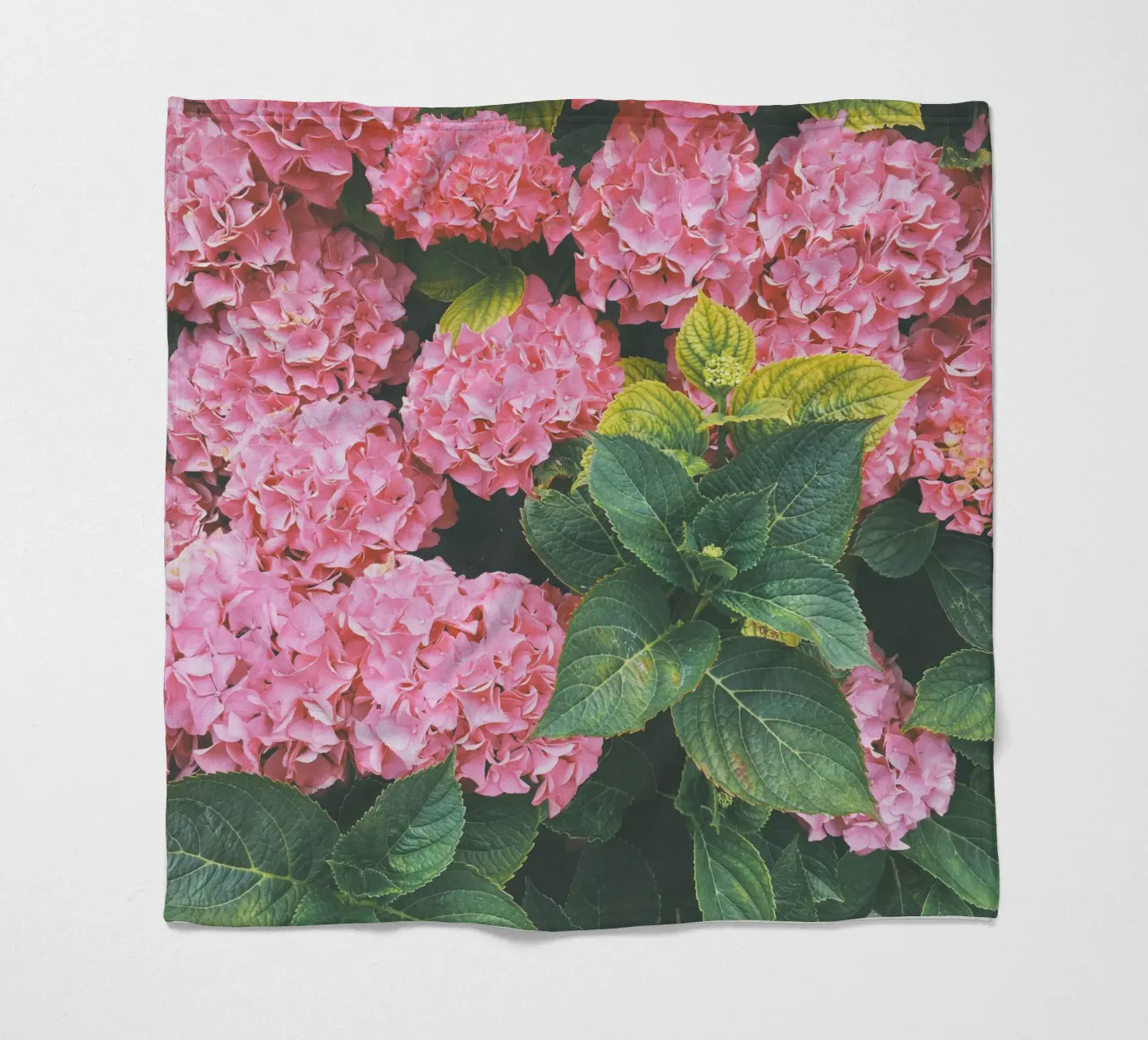 Hortensia plaid polaire de Cassia Beck Photography