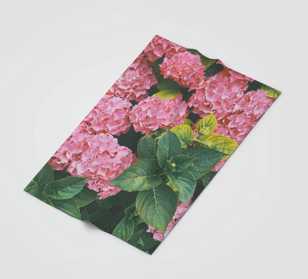 Hydrangea fleece blanket by Cassia Beck Photography