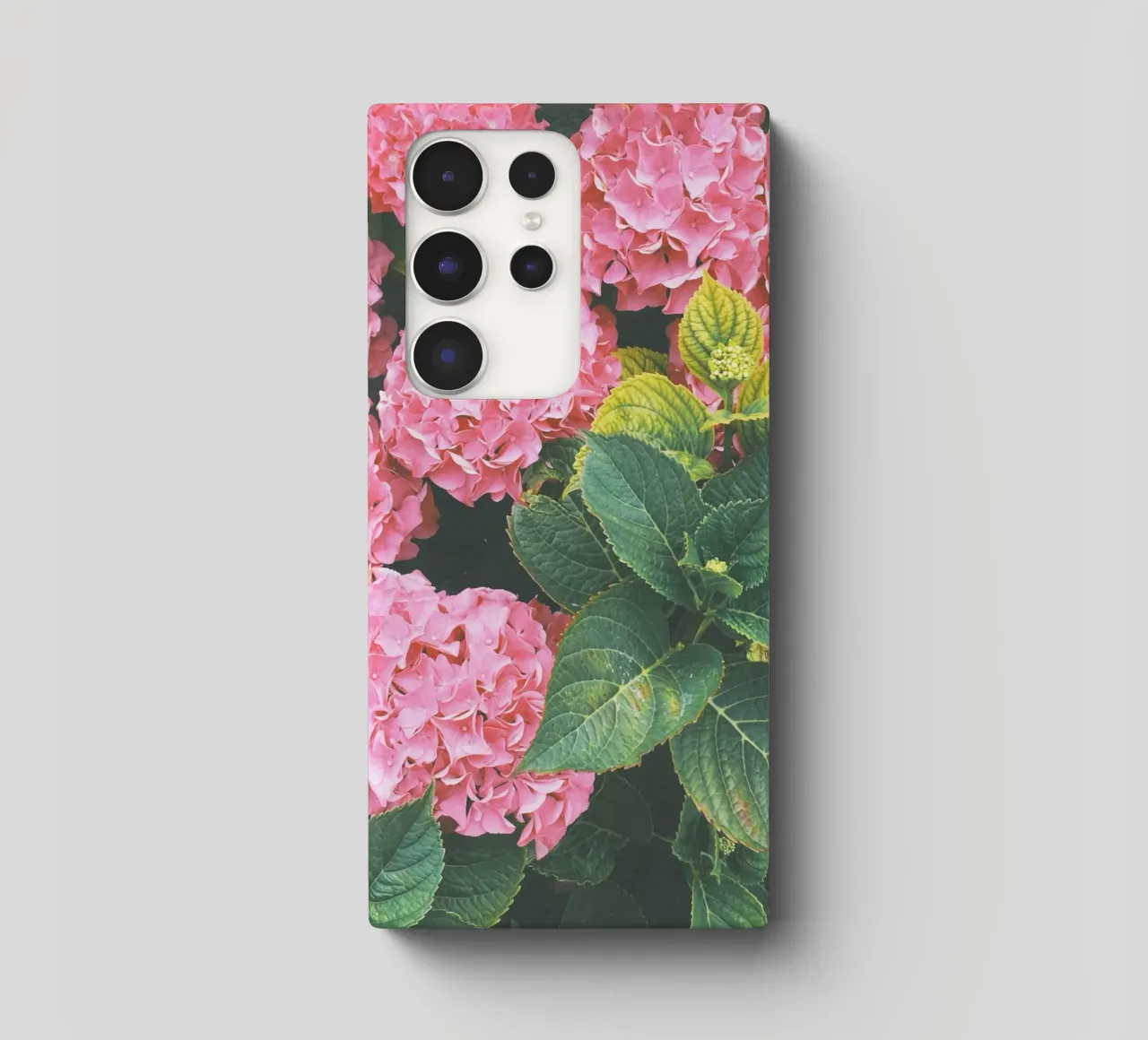 Ortensia cover samsung da Cassia Beck Photography