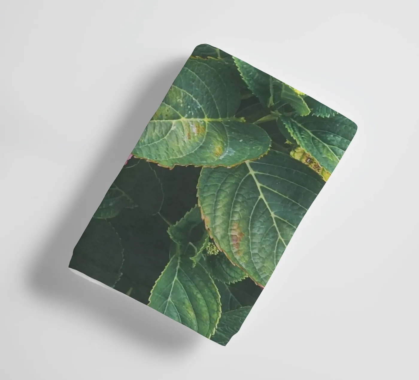 Hortensia serviette de bain de Cassia Beck Photography