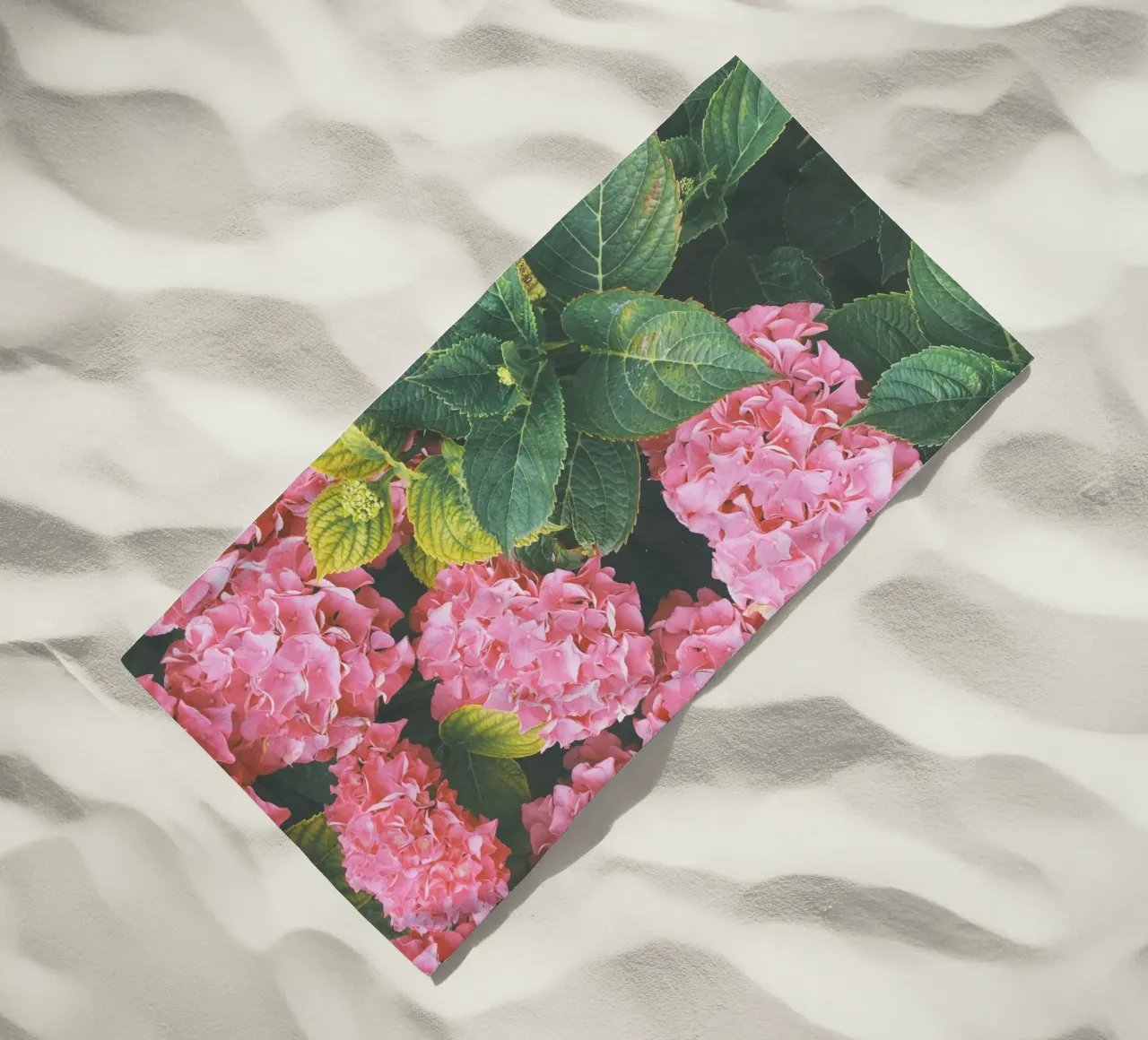 Ortensia telo mare da Cassia Beck Photography