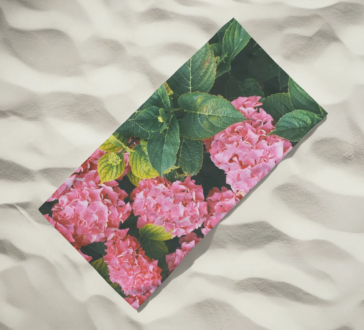 Hydrangea strandhanddoek van Cassia Beck Photography