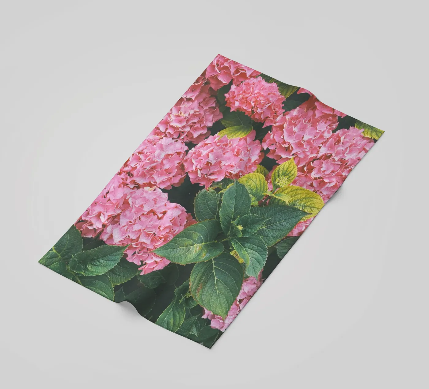 Hydrangea strandhanddoek van Cassia Beck Photography