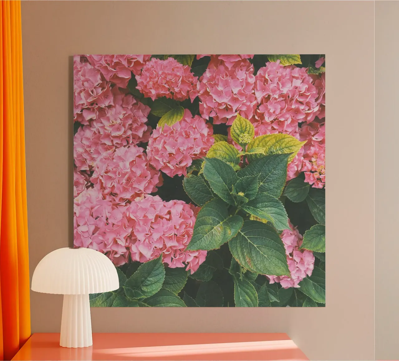 Hortensia acryl van Cassia Beck Photography