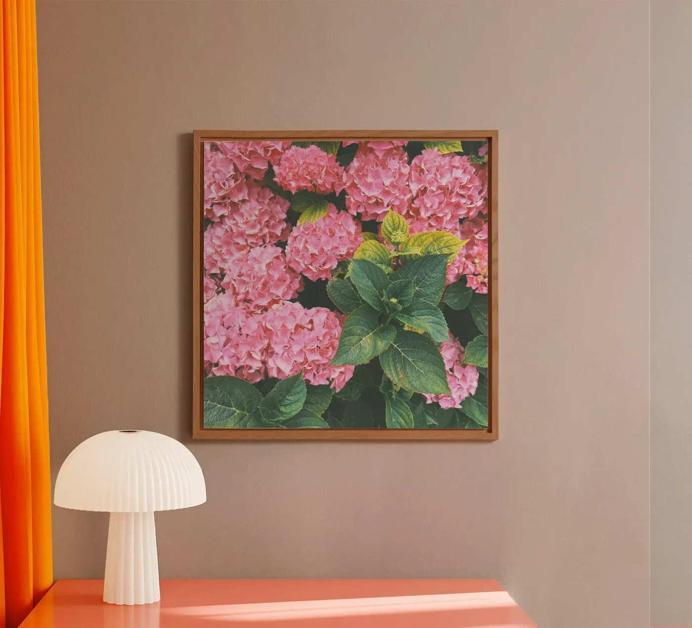 Hydrangea forex plate by Cassia Beck Photography