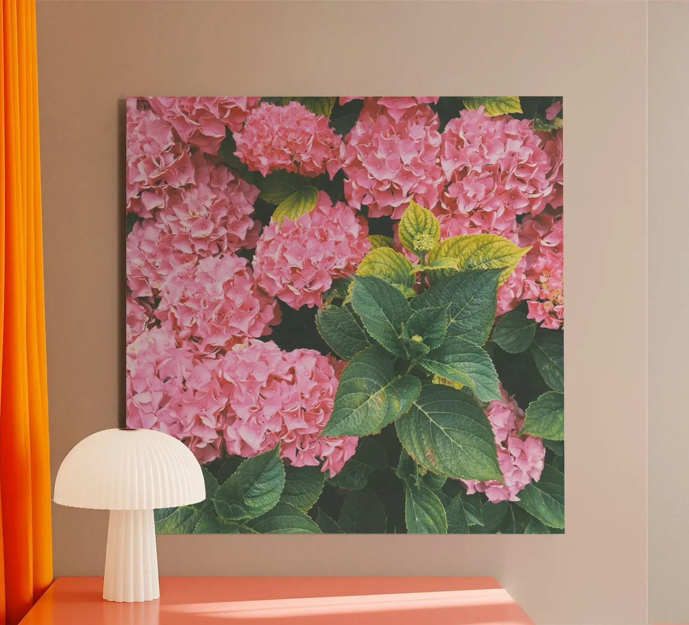 Hydrangea forex plate by Cassia Beck Photography