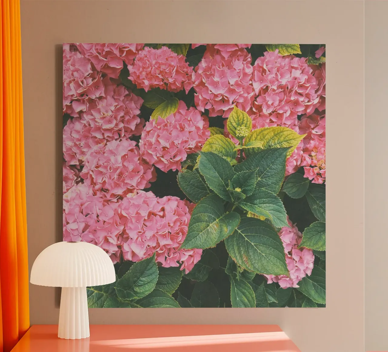 Hydrangea canvas with Floater frame by Cassia Beck Photography