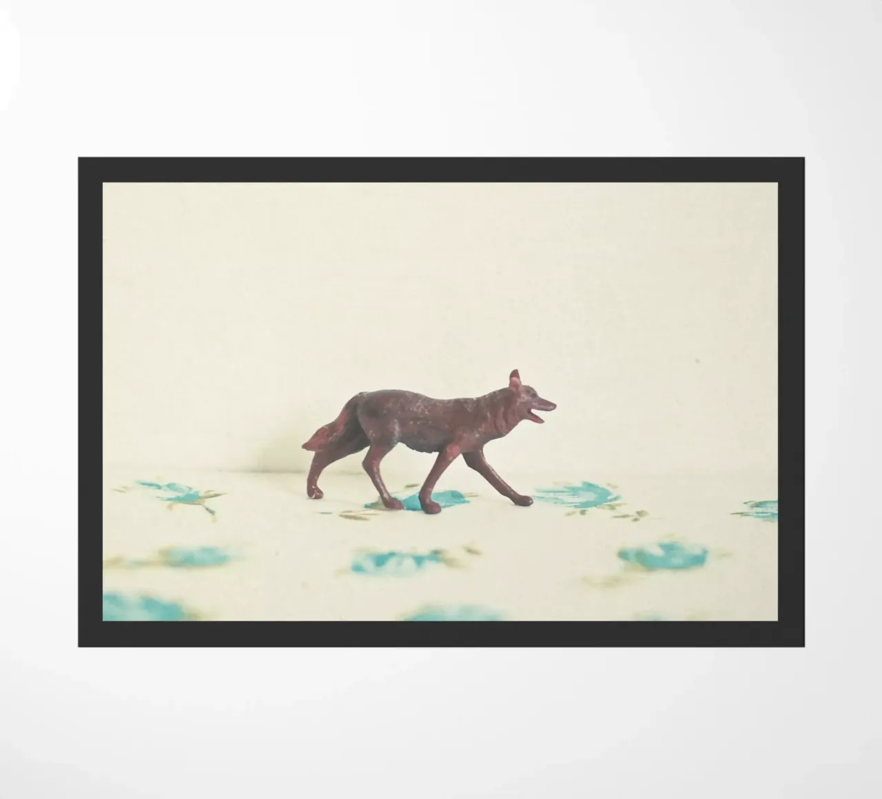 Lupo errante zerbino da Cassia Beck Photography