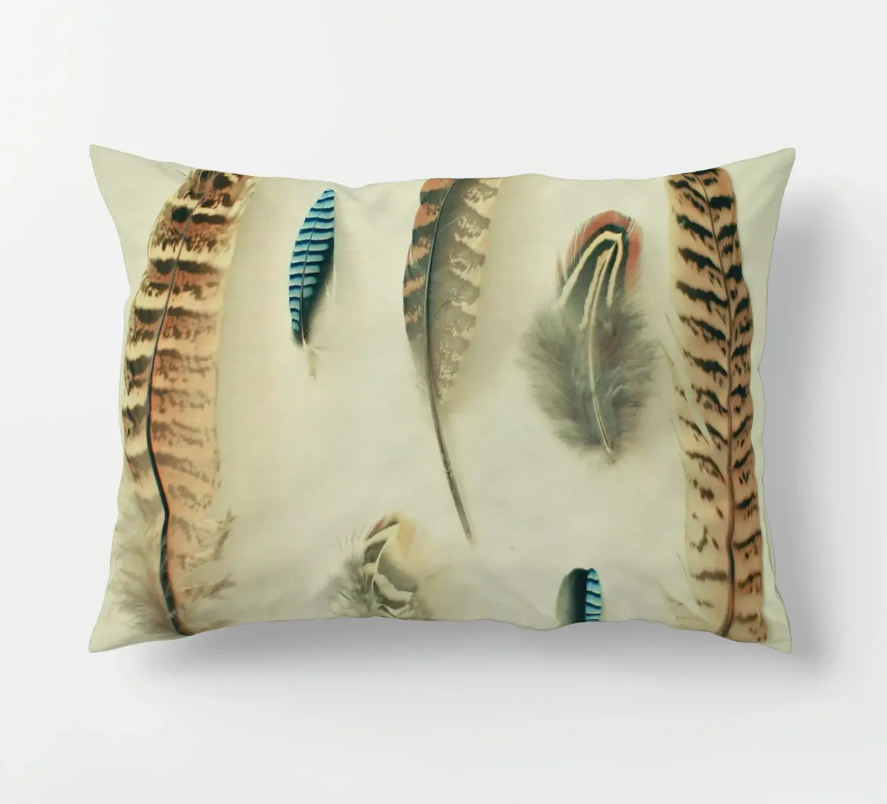 The Feather Collection decorative cushion by Cassia Beck Photography