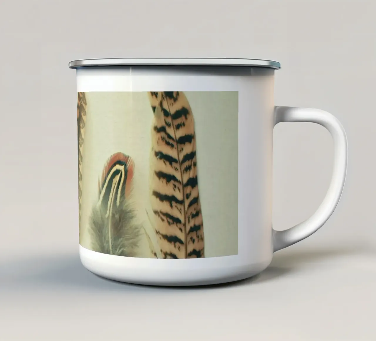 La collezione di piume tazza in smalto da Cassia Beck Photography
